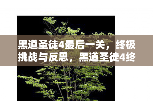 黑道圣徒4最后一关图片