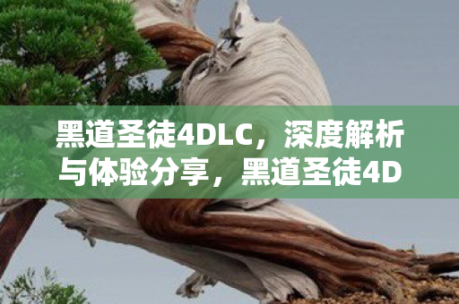 黑道圣徒4DLC深度解析图片