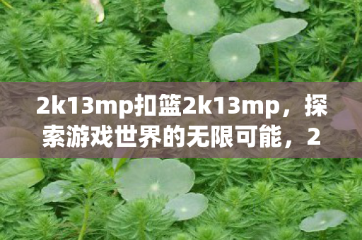 2k13mp扣篮2k13mp图片
