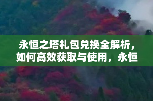 永恒之塔礼包兑换全解析图片