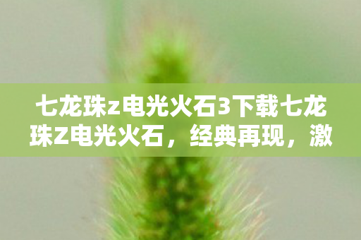 七龙珠z电光火石3下载七龙珠Z电光火石图片