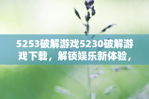 5253破解游戏5230破解游戏下载图片