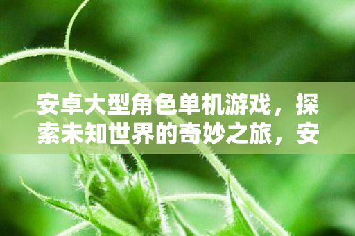 探索未知世界的奇妙之旅图片