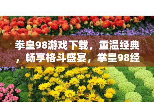 拳皇98游戏下载，重温经典，畅享格斗盛宴，拳皇98经典再现，下载体验格斗盛宴