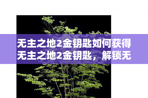 无主之地2金钥匙如何获得无主之地2金钥匙图片