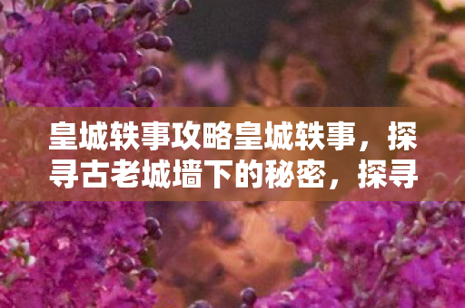 皇城轶事攻略皇城轶事图片