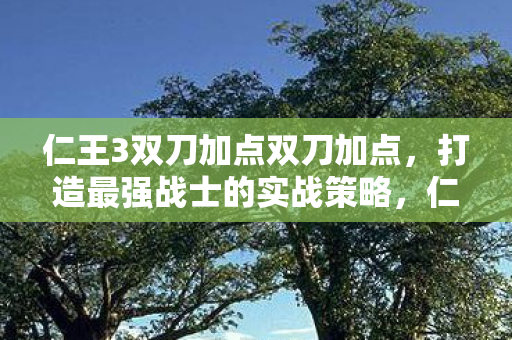 仁王3双刀加点双刀加点图片