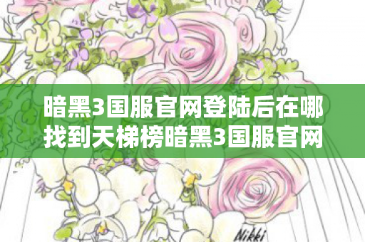 暗黑3国服官网登陆后在哪找到天梯榜暗黑3国服官网图片
