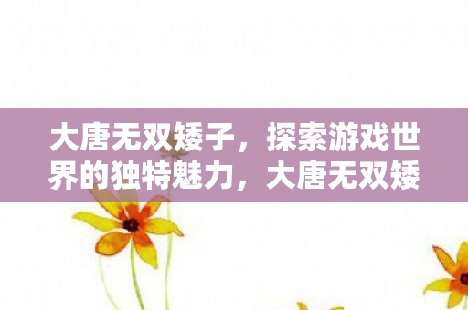大唐无双矮子,探索游戏世界的独特魅力,大唐无双矮子,探索游戏世界的独特魅力 大唐无双矮子,探索游戏世界的独特魅力,大唐无双矮子,探索游戏世界的独特魅力