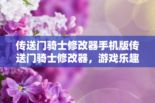 传送门骑士修改器手机版传送门骑士修改器图片
