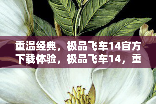 极品飞车14官方下载体验图片