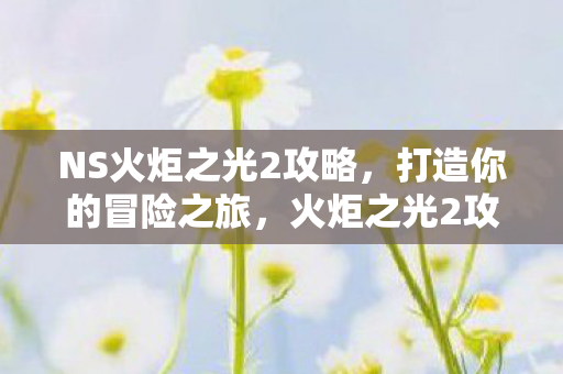 NS火炬之光2攻略图片