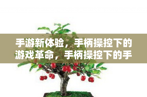 手柄操控下的手游新体验革命图片