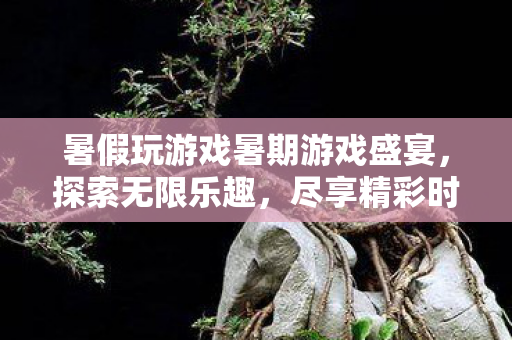 暑假玩游戏暑期游戏盛宴图片