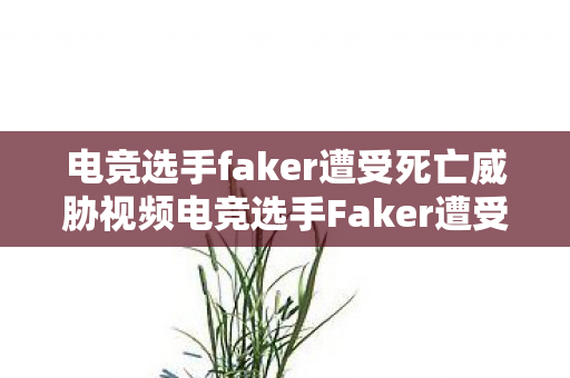 电竞选手faker遭受死亡威胁视频电竞选手Faker遭受死亡威胁图片