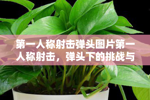 第一人称射击弹头图片第一人称射击图片