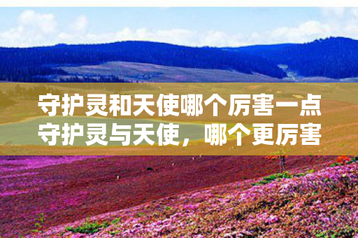 守护灵和天使哪个厉害一点守护灵与天使图片