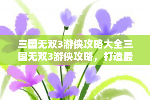 三国无双3游侠攻略大全三国无双3游侠攻略图片
