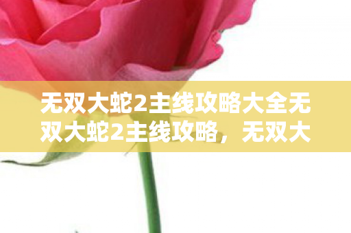无双大蛇2主线攻略大全无双大蛇2主线攻略图片