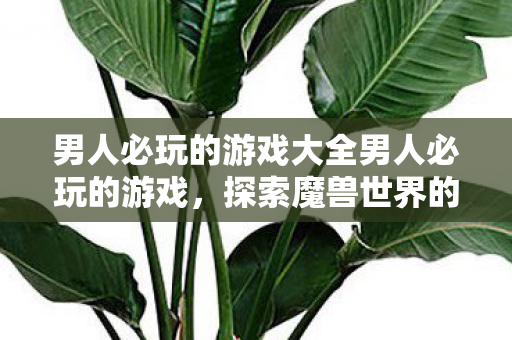 男人必玩的游戏大全男人必玩的游戏图片