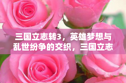 英雄梦想与乱世纷争的交织图片