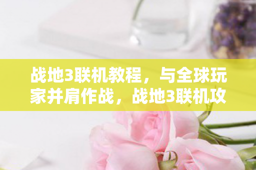 与全球玩家并肩作战图片