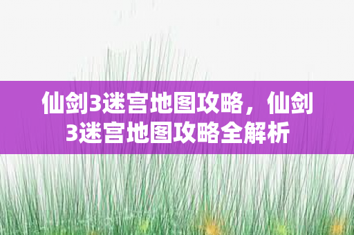 仙剑3迷宫地图攻略全解析图片