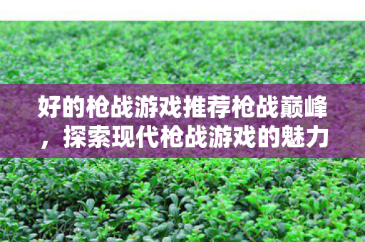 探索现代枪战游戏的魅力与深度图片