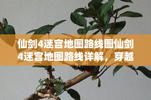 仙剑4迷宫地图路线图仙剑4迷宫地图路线详解图片