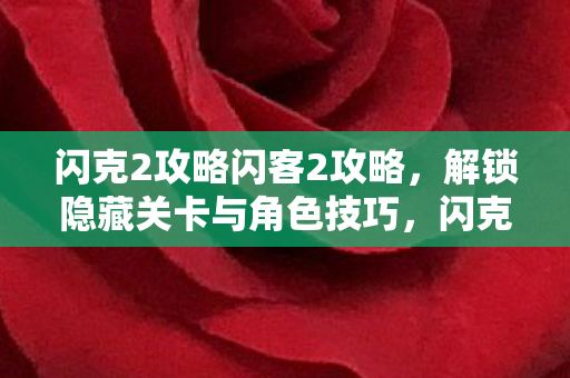 解锁隐藏关卡与角色技巧全揭秘图片
