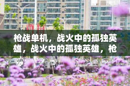 战火中的孤独英雄图片