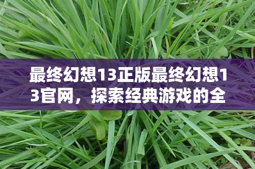 最终幻想13正版最终幻想13官网图片