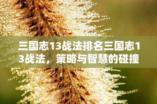 三国志13战法排名三国志13战法图片