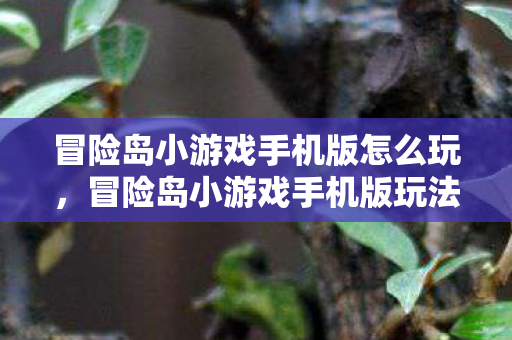 冒险岛小游戏手机版怎么玩，冒险岛小游戏手机版玩法指南