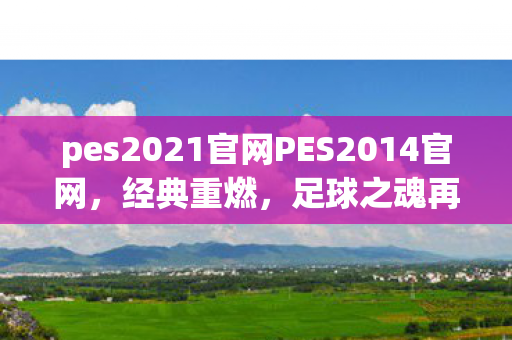PES2021官网带你重温PES2014足球之魂图片