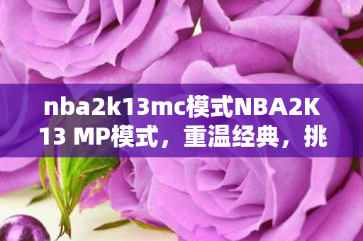 nba2k13mc模式NBA2K13 MP模式图片