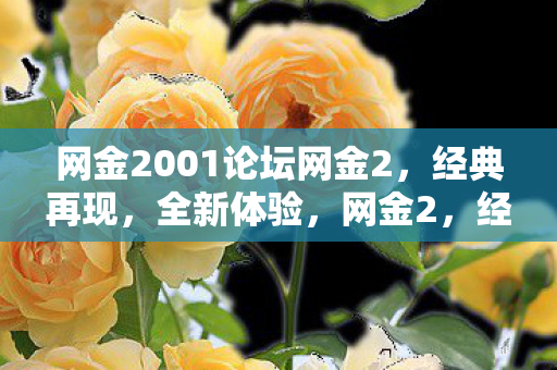 网金2001论坛网金2图片