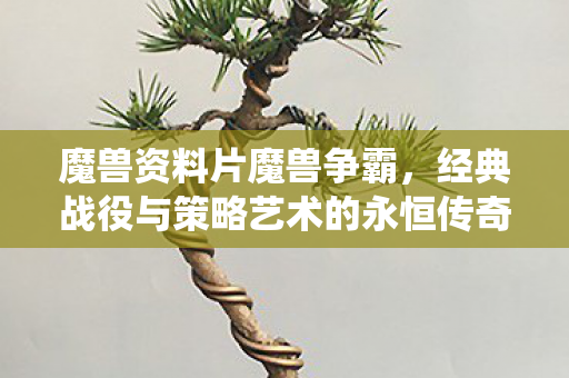 经典战役与策略艺术的永恒传奇图片