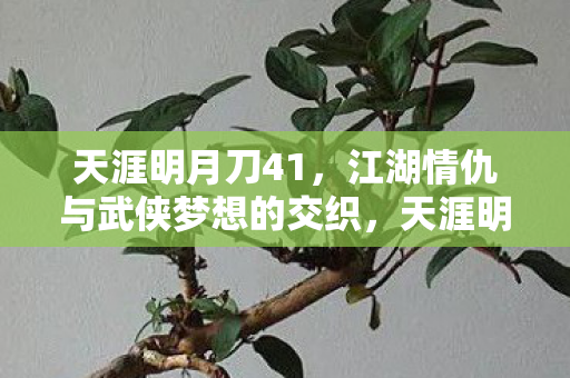 江湖情仇与武侠梦想的交织图片