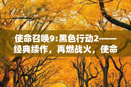 黑色行动2 再燃战火图片