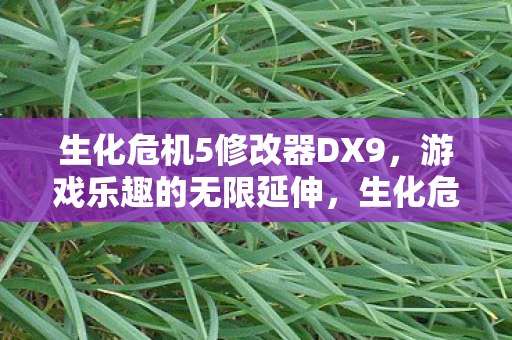 生化危机5修改器DX9图片