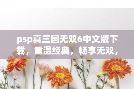 psp真三国无双6中文版下载图片