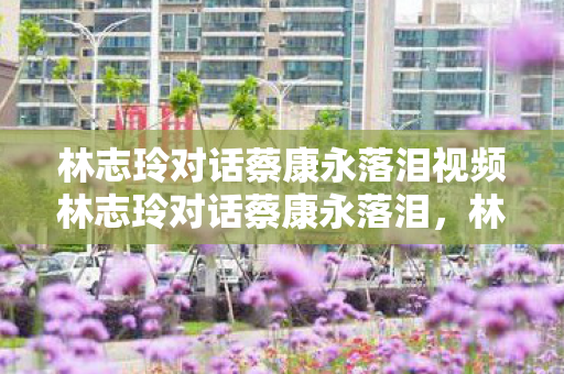 林志玲对话蔡康永落泪视频林志玲对话蔡康永落泪图片