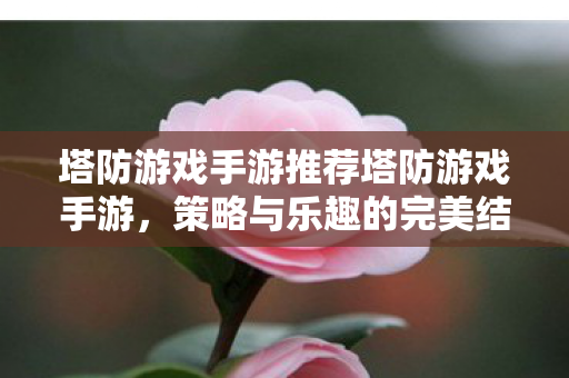 塔防游戏手游推荐塔防游戏手游图片