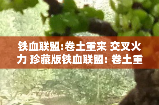 卷土重来 交叉火力 珍藏版铁血联盟图片
