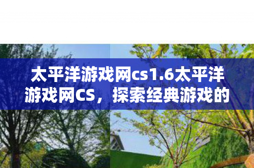 探索经典游戏的魅力与未来图片