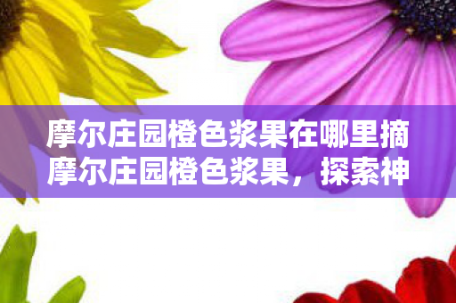 摩尔庄园橙色浆果在哪里摘摩尔庄园橙色浆果图片