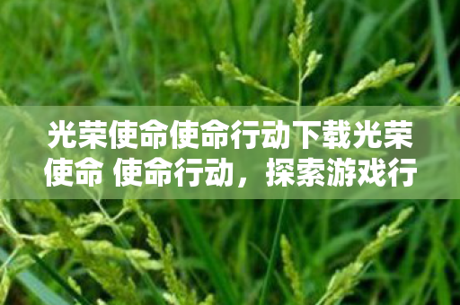 光荣使命使命行动下载光荣使命 使命行动图片