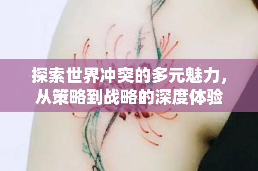 探索世界冲突的多元魅力图片