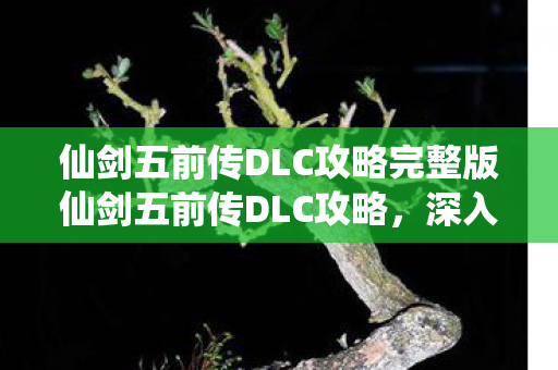 仙剑五前传DLC攻略完整版仙剑五前传DLC攻略图片